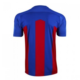 Goedkope Crystal Palace Thuisshirt 2020-21